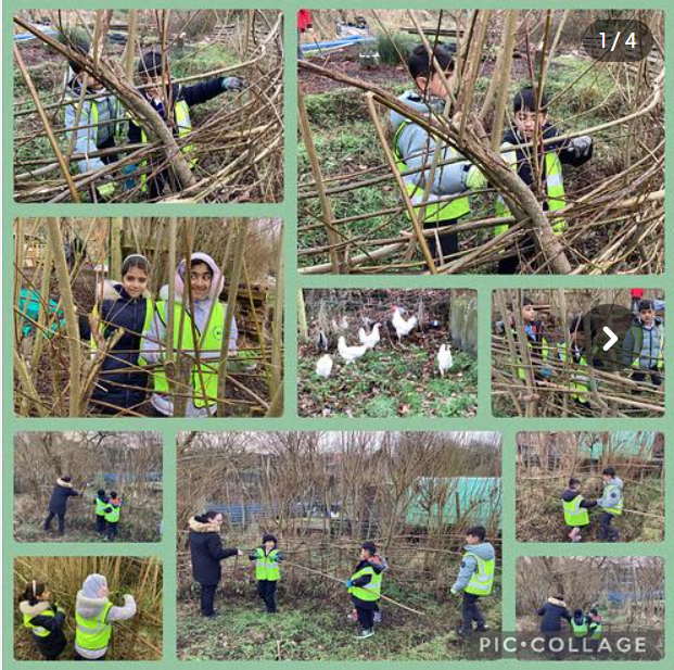 Allotment trip